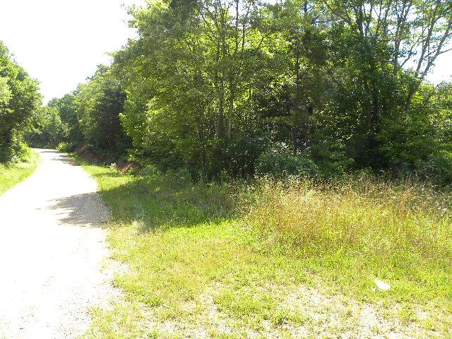 0 Slippery Creek Road Hohenwald, TN 38462 - Photo 4 of 14 Gallery Image 4