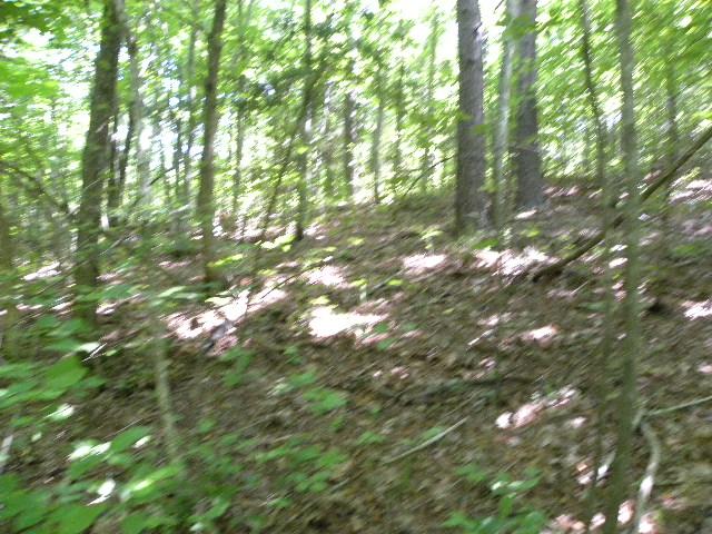 0 Slippery Creek Road Hohenwald, TN 38462 - Photo 5 of 14 Gallery Image 5