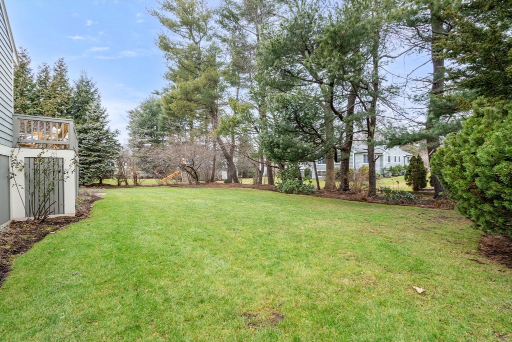 81 Woodfall Road Belmont, MA 02478 - Photo 34 of 37 a view of a park with large trees