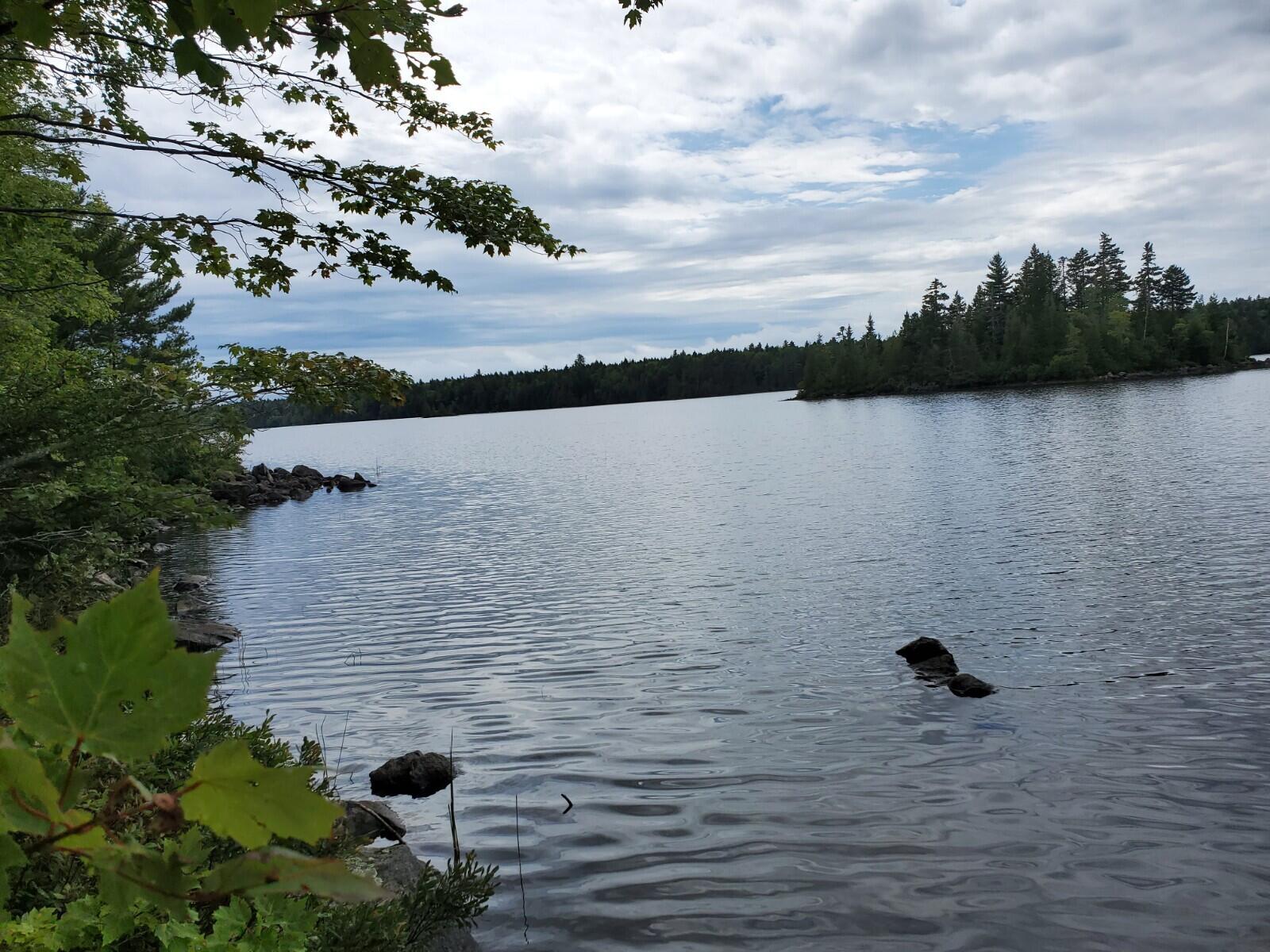 14 Birch Point Road Cooper, ME 04657 - Photo 2 of 10 20200821_130004