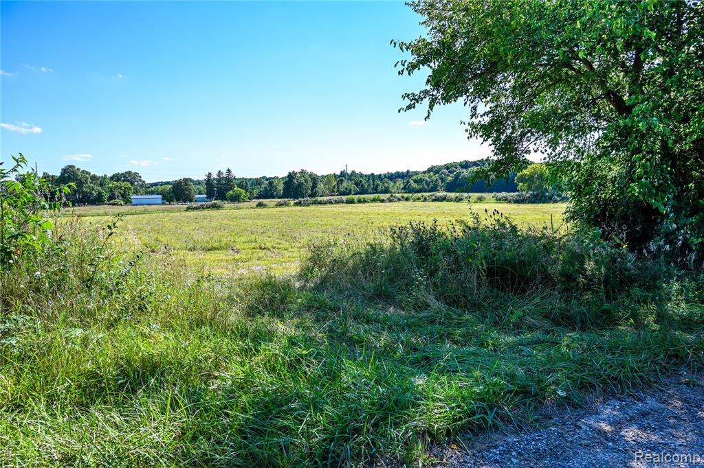 0 Wagner Road Imlay City, MI 48444 - Photo 28 of 43