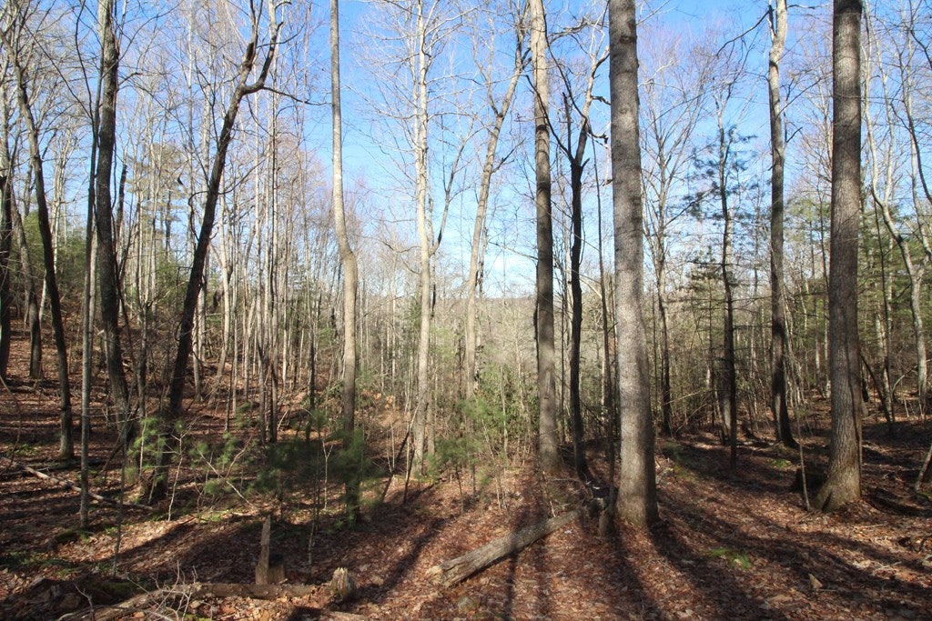 Tbd Ivanhoe Road, Unit 60A34 Fries, VA 24330 - Photo 21 of 45 Gallery Image 21
