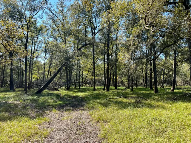 a big yard with lots of green space and trees