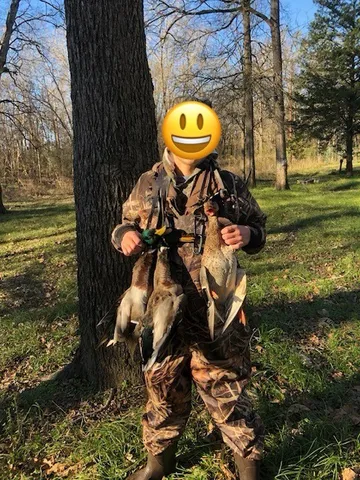 a view of a swimming pool with a yard and plants