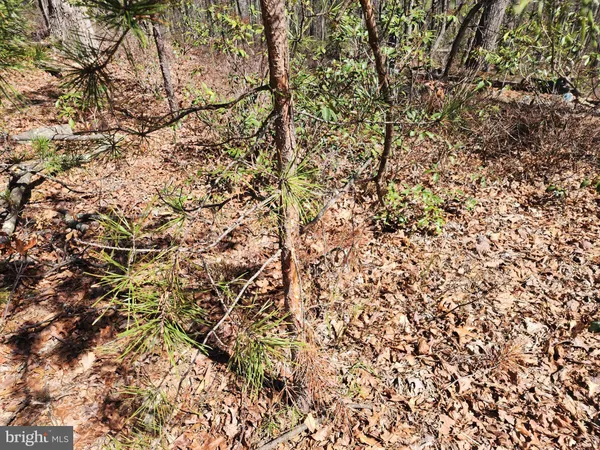 $45,000 | 55 Kipps Drive, Augusta, WV 26704