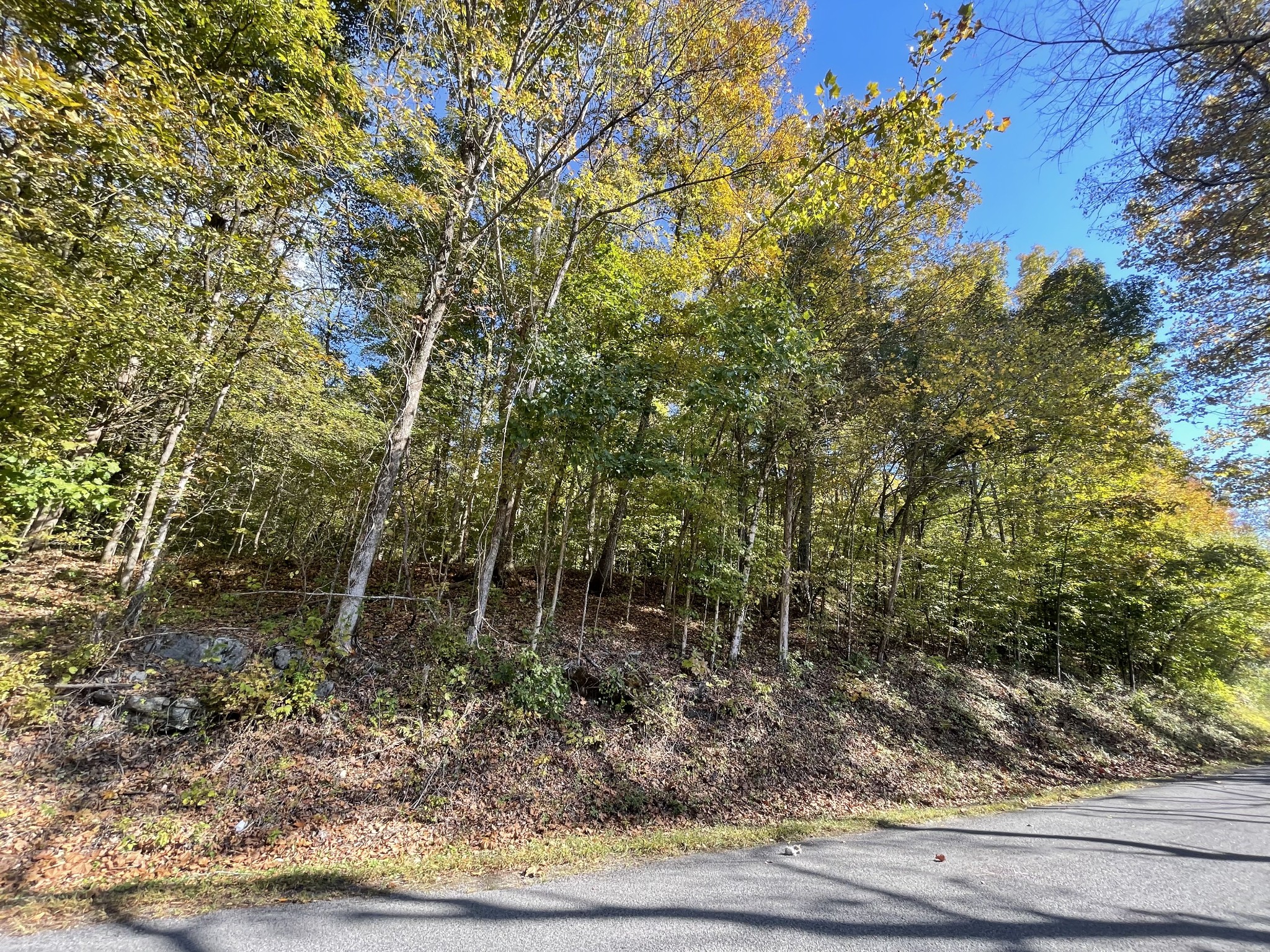 0 New Hope Road Stewart, TN 37175 - Photo 12 of 12