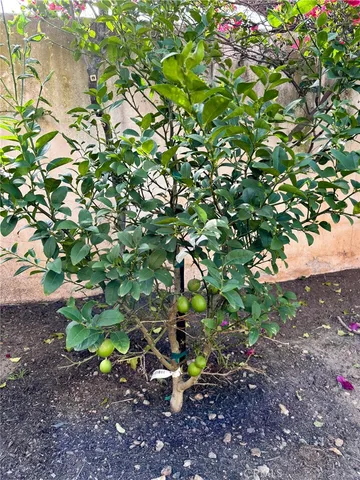 $3,950 | 45 Desert Thorn, Rancho Santa Margarita, CA 92688