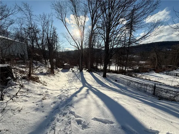 $1,600 | 23 Burton Street, Walton, NY 13856