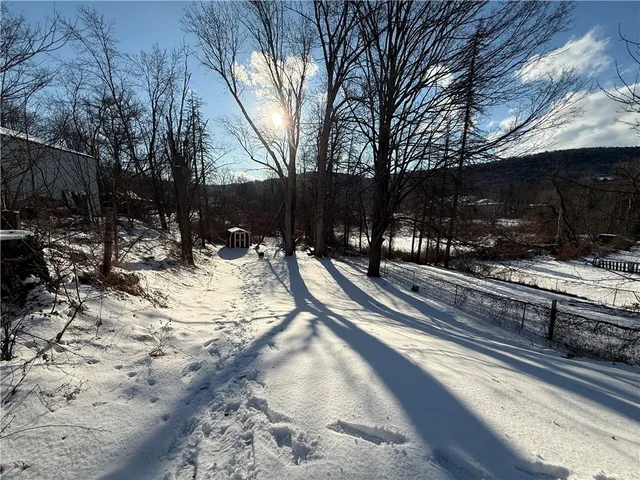 $1,650 | 23 Burton Street, Walton, NY 13856