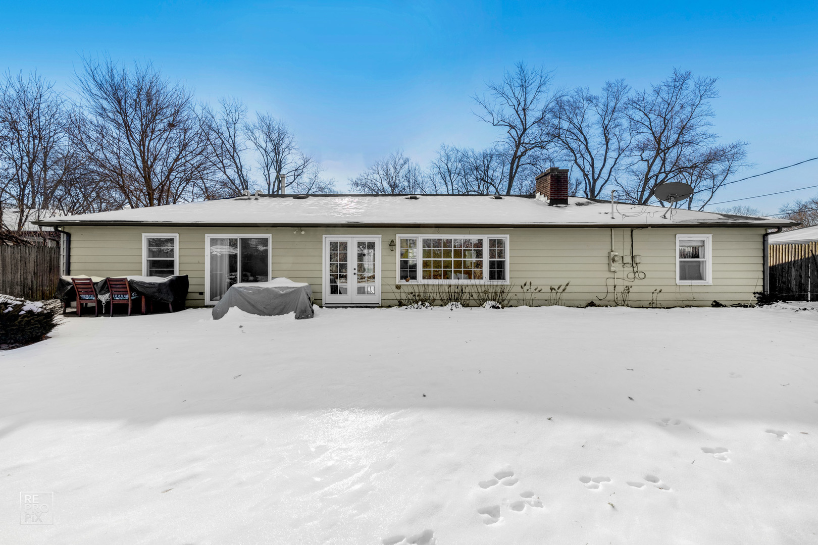 409 Bridle Lane Wheaton, IL 60187 - Photo 10 of 10 a front view of a house with a lots of windows and trees