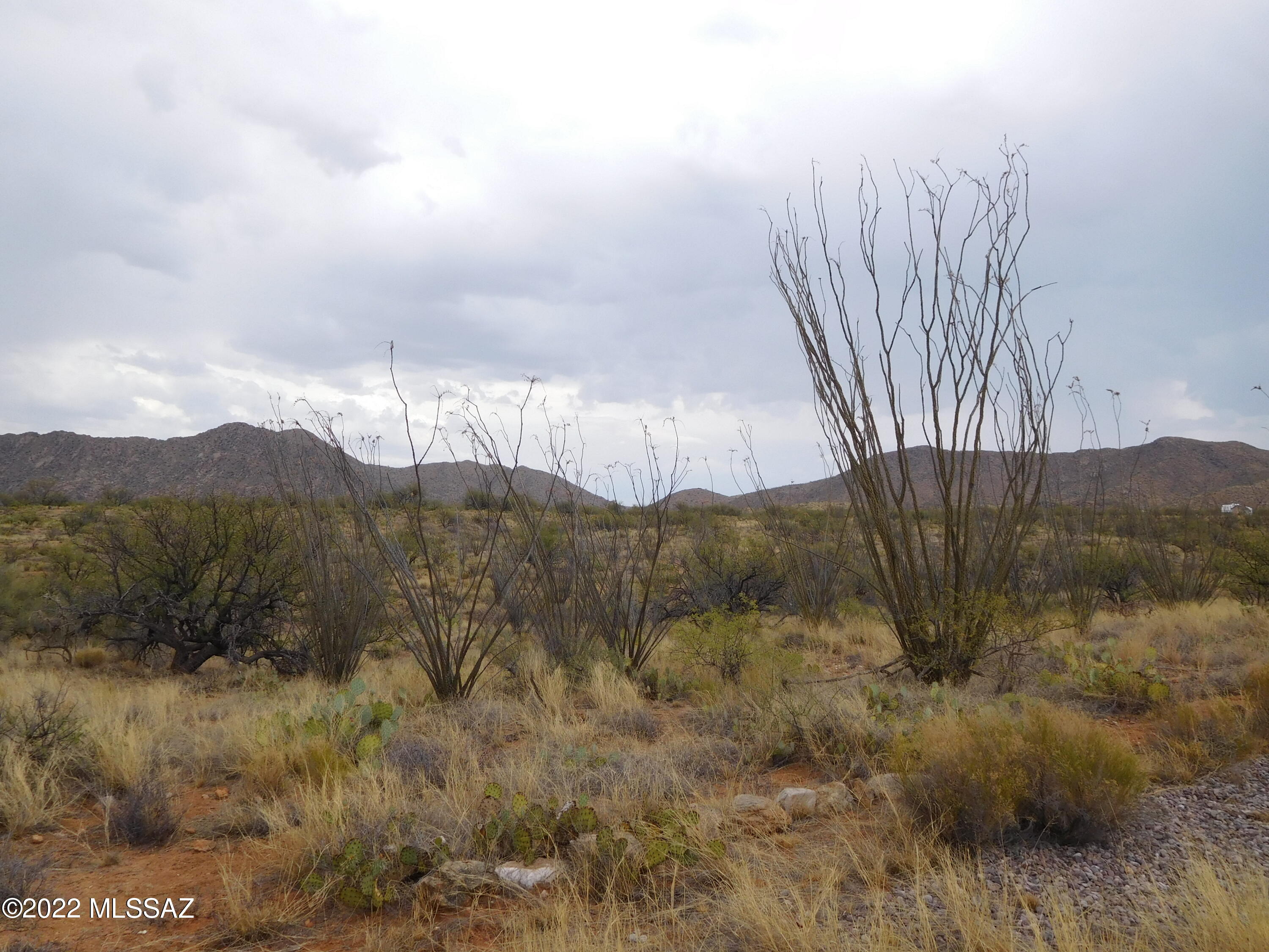 16705 South Sierrita Mountain Road Tucson, AZ 85736 - Photo 11 of 38