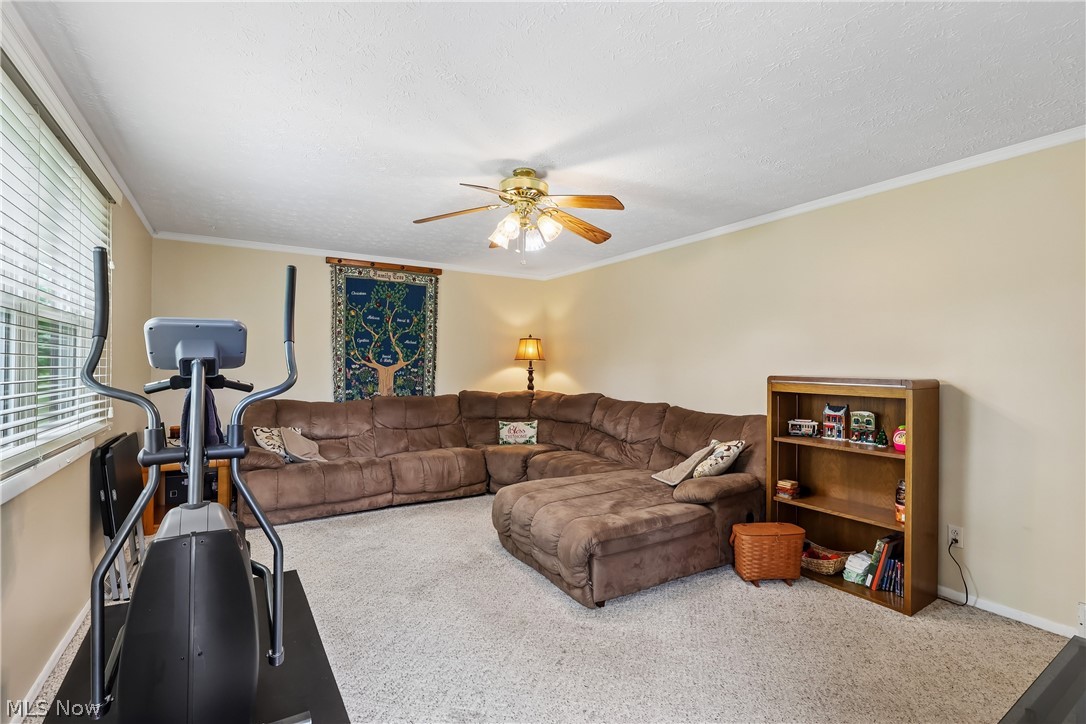4702 Alger Road Richfield, OH 44286 - Photo 21 of 46 Family room with ceiling fan / light and carpet flooring