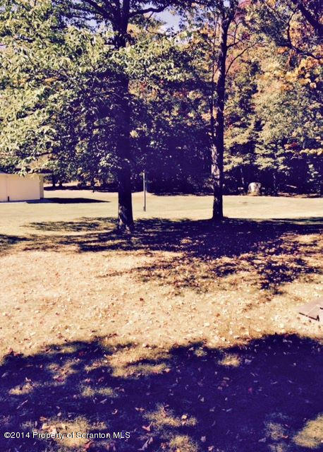 374 Maple Lake Road Moscow, PA 18444 - Photo 33 of 36 a view of a yard with large trees