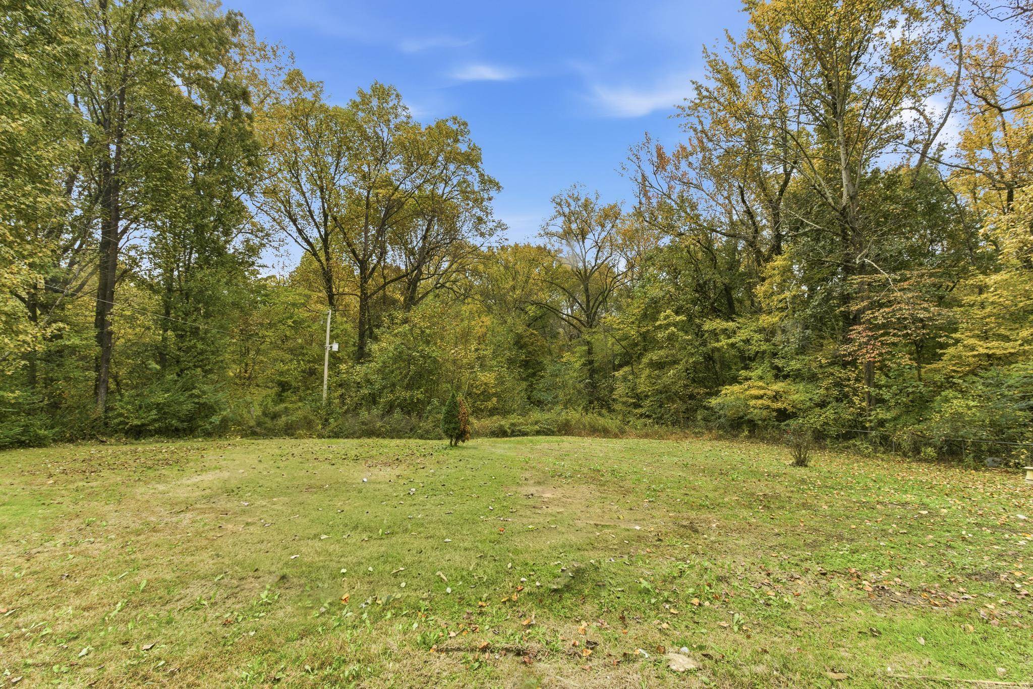5002 Benjestown Road Memphis, TN 38127 - Photo 4 of 29 View of grassy yard