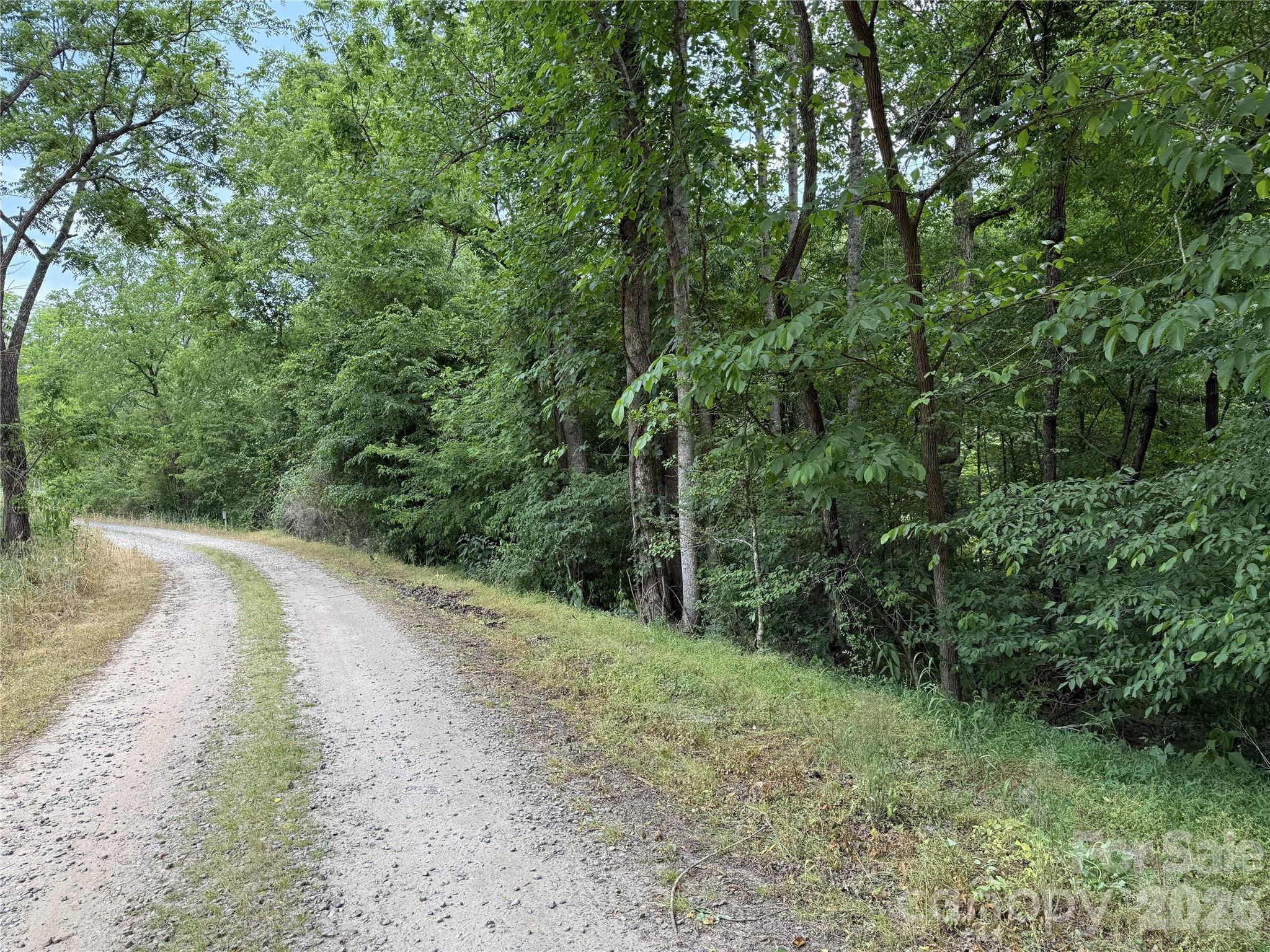 6 Hopewell Church Road, Unit 6 Hiddenite, NC 28636 - Photo 11 of 33 a view of a forest with trees in the background