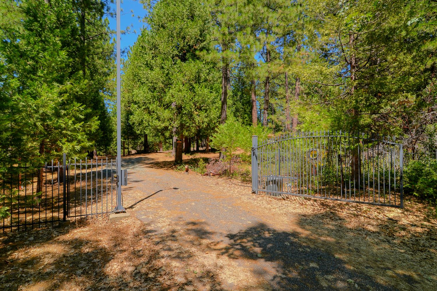 1600 Ridge Road Mokelumne Hill, CA 95245 - Photo 71 of 82