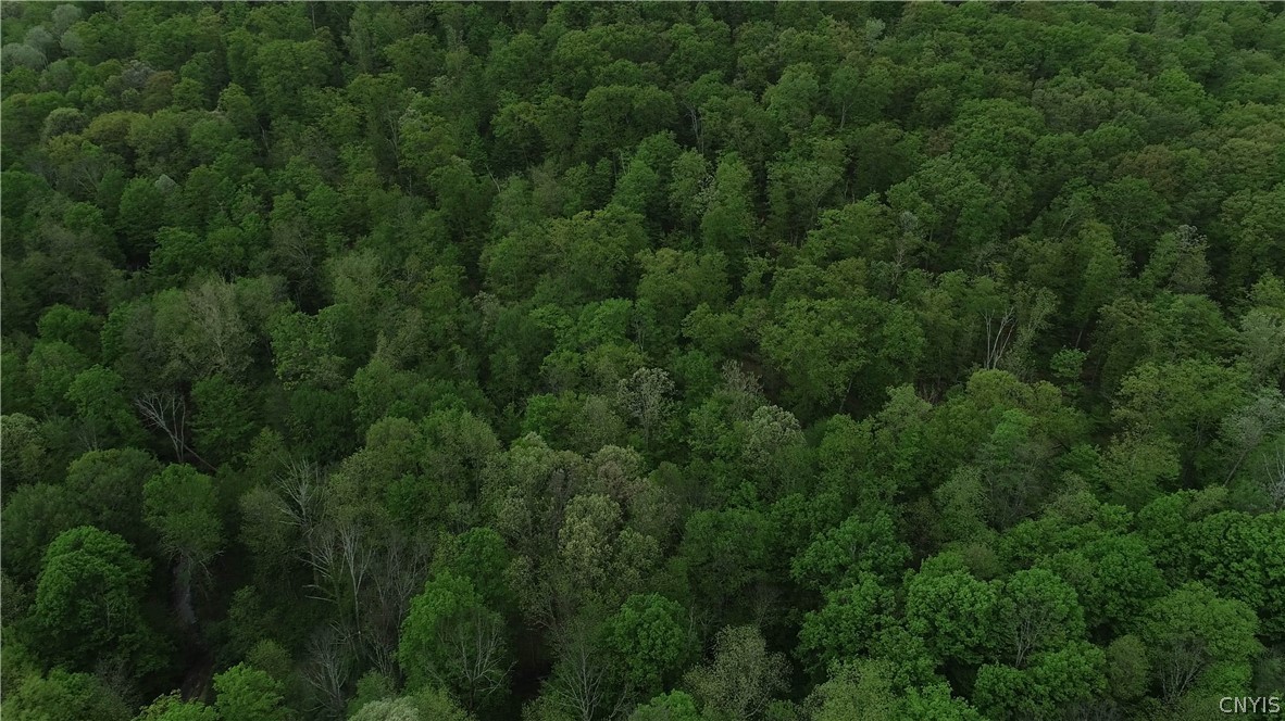 0 State Route 82 Ancram, NY 12502 - Photo 11 of 12