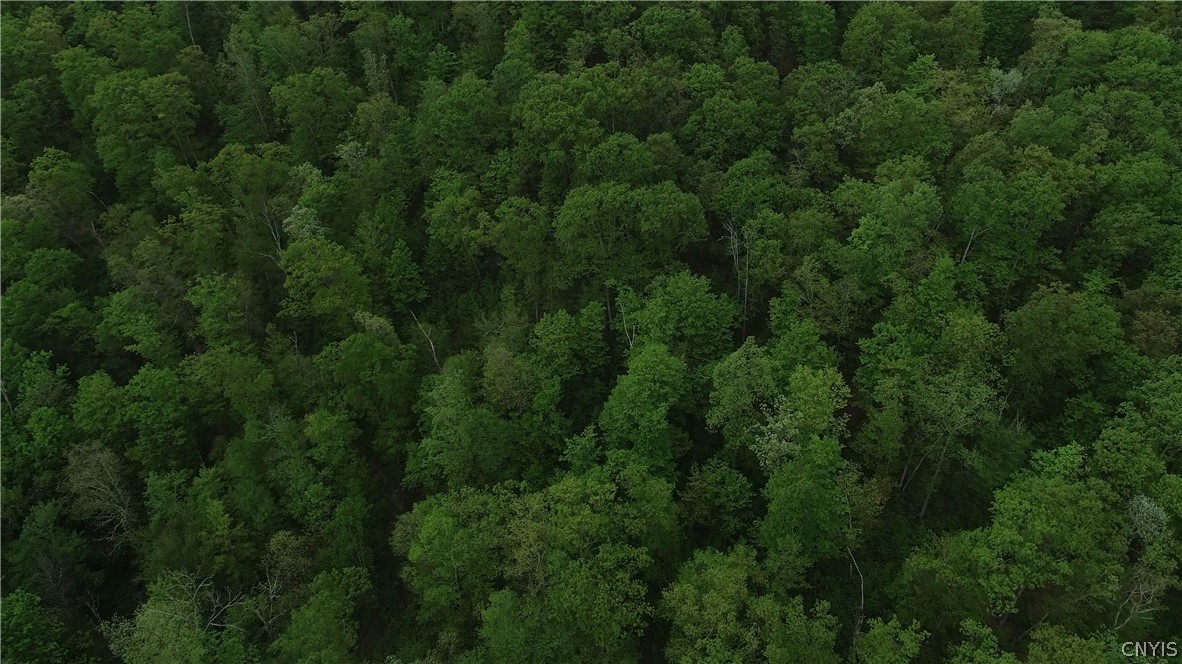 0 State Route 82 Ancram, NY 12502 - Photo 12 of 12