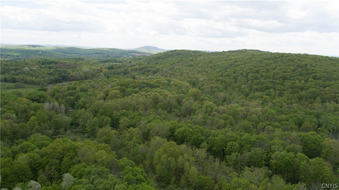 0 State Route 82 Ancram, NY 12502 - Photo 3 of 12