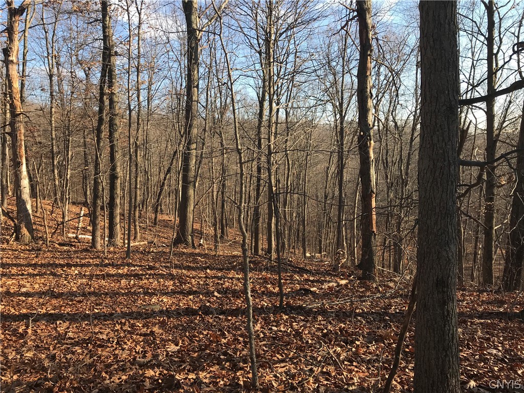 0 State Route 82 Ancram, NY 12502 - Photo 6 of 12