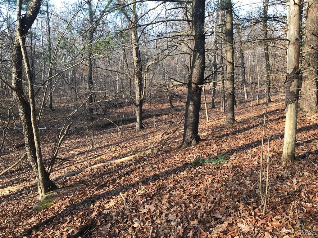 0 State Route 82 Ancram, NY 12502 - Photo 7 of 12