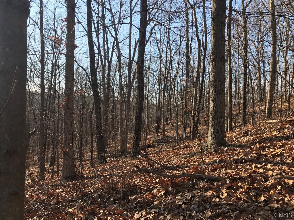 0 State Route 82 Ancram, NY 12502 - Photo 8 of 12