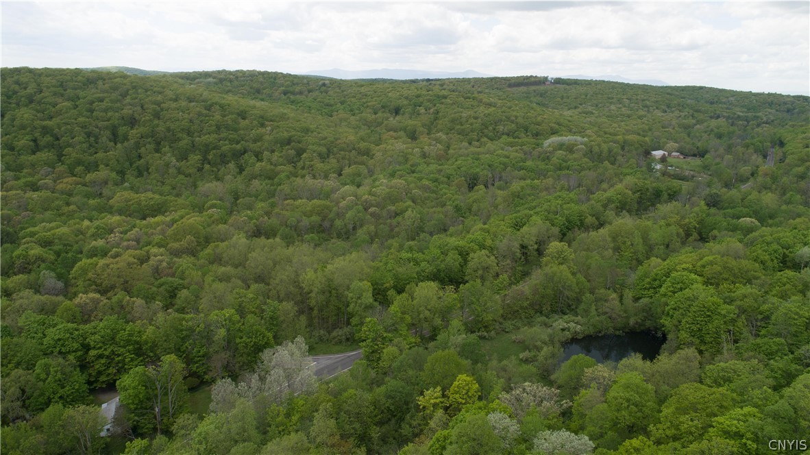 0 State Route 82 Ancram, NY 12502 - Photo 9 of 12