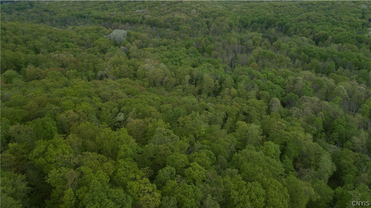 0 State Route 82 Ancram, NY 12502 - Photo 10 of 12