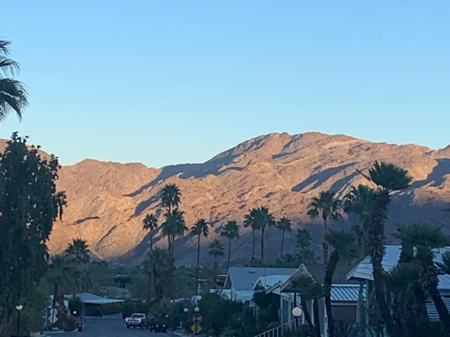 an ocean view with palm trees