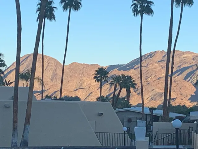 a view of a dry field with mountains in the background