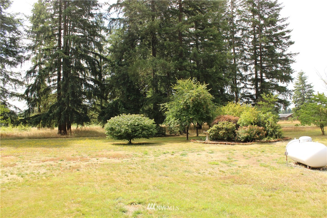 10215 School Land Road Southwest Rochester, WA 98579 - Photo 17 of 23