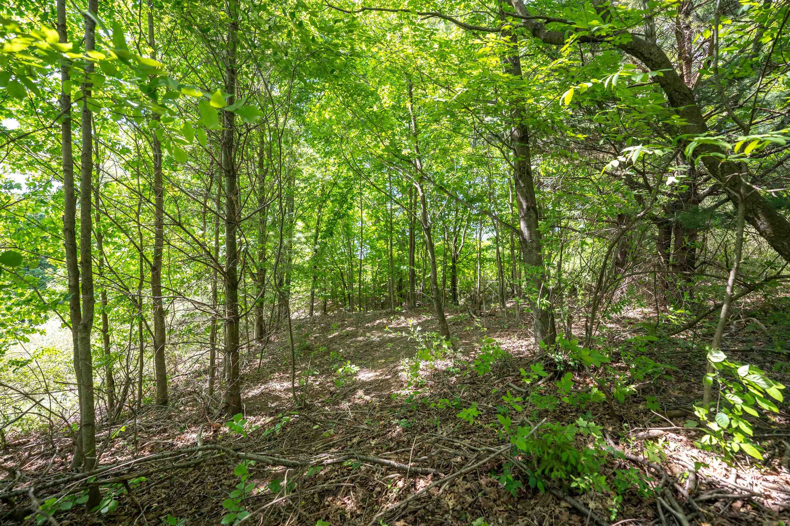 Tbd Traverse Road Thompsonville, MI 49683 - Photo 25 of 40