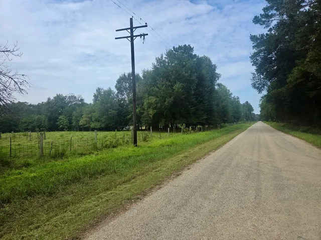 a view of a park with a tree