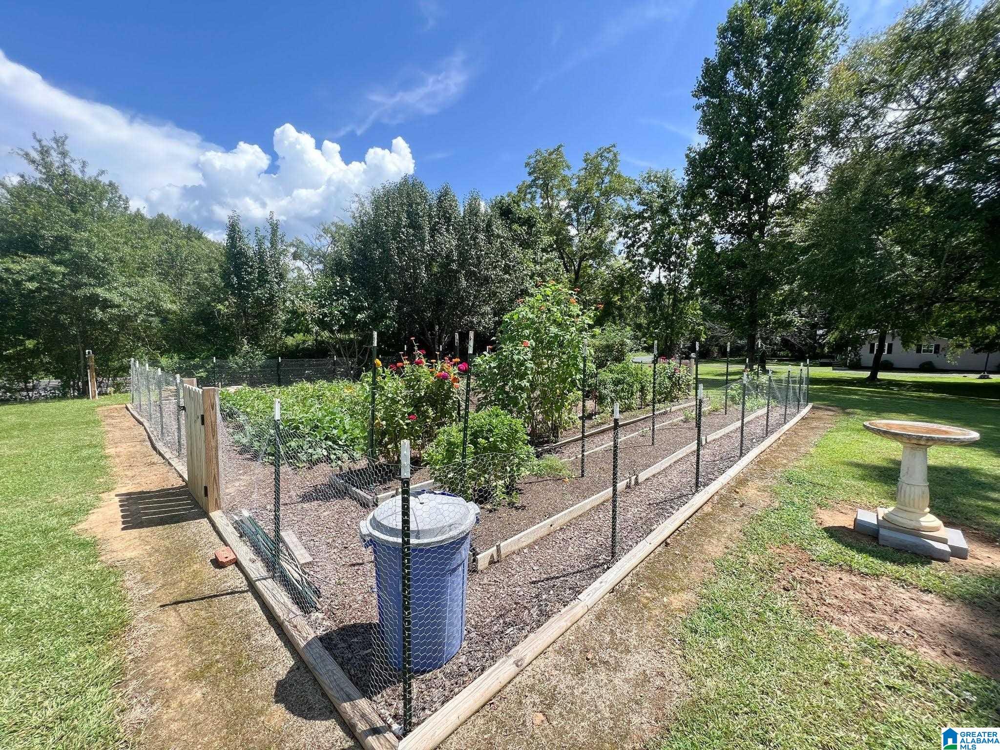 2125 Roy Webb Road Jacksonville, AL 36265 - Photo 19 of 22