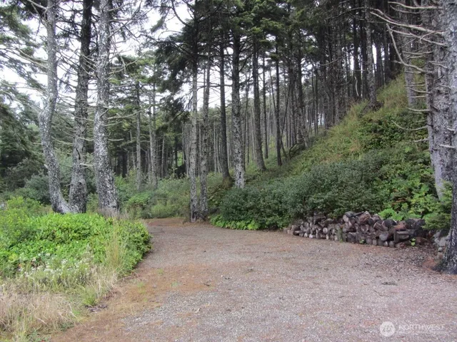 $175,000 | 29 Golden Lane, Pacific Beach, WA 98571