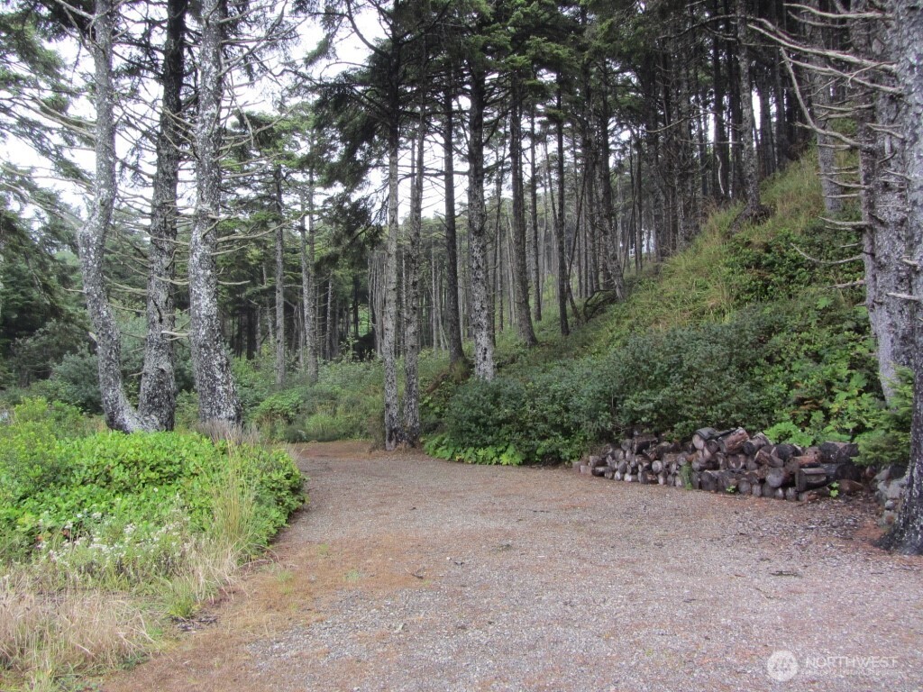 29 Golden Lane Pacific Beach, WA 98571 - Photo 3 of 7