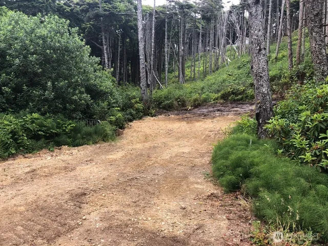 $175,000 | 29 Golden Lane, Pacific Beach, WA 98571