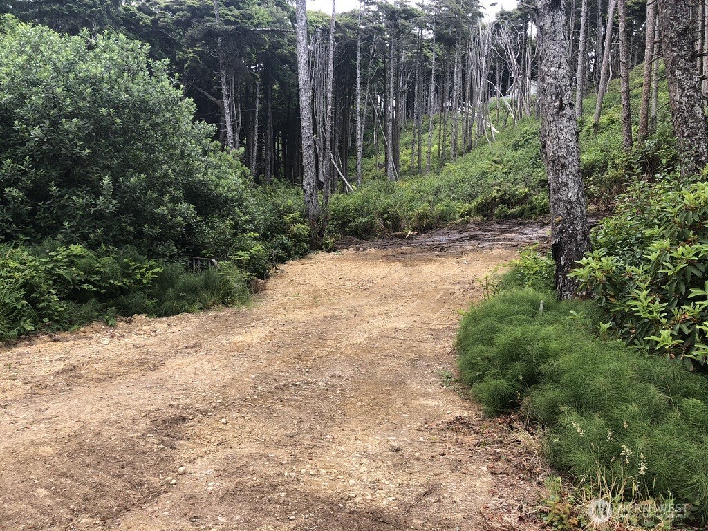 29 Golden Lane Pacific Beach, WA 98571 - Photo 5 of 7