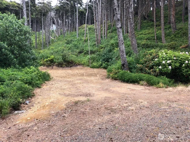 $175,000 | 29 Golden Lane, Pacific Beach, WA 98571