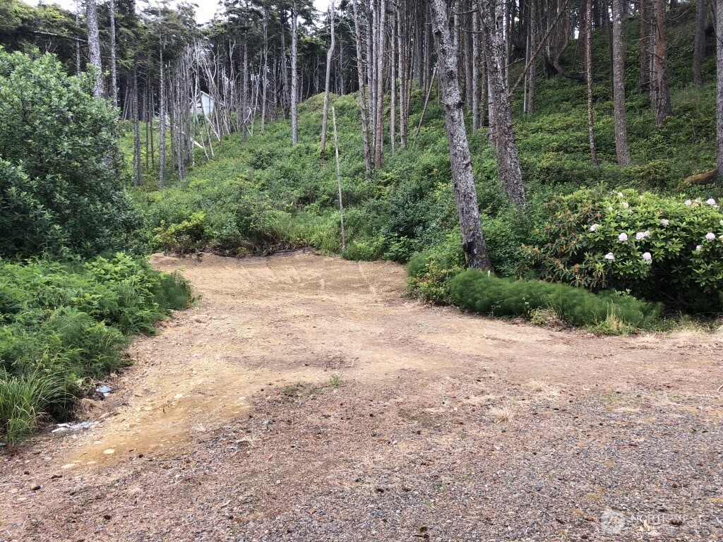 29 Golden Lane Pacific Beach, WA 98571 - Photo 6 of 7