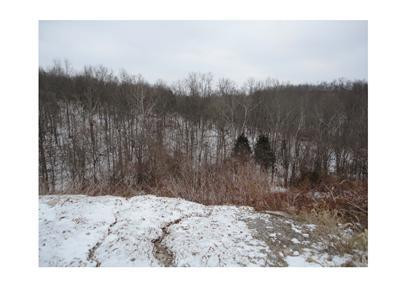 370 Eagle Ridge Drive, Unit 33 Dry Ridge, KY 41035 - Photo 1 of 1 Gallery Image 1