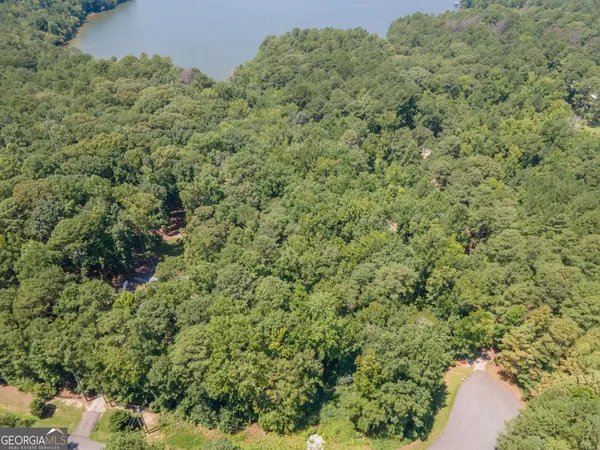 a view of a forest with a houses
