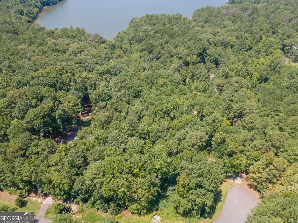15 Williams Rd Court LaGrange, GA 30240 - Photo 4 of 10 a view of a forest with a houses