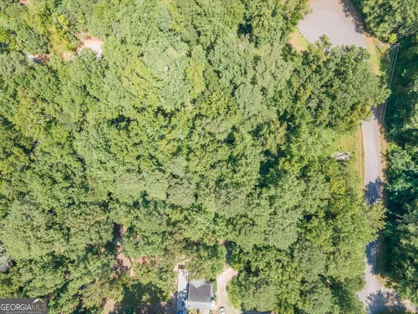 a view of a lush green field with a tree