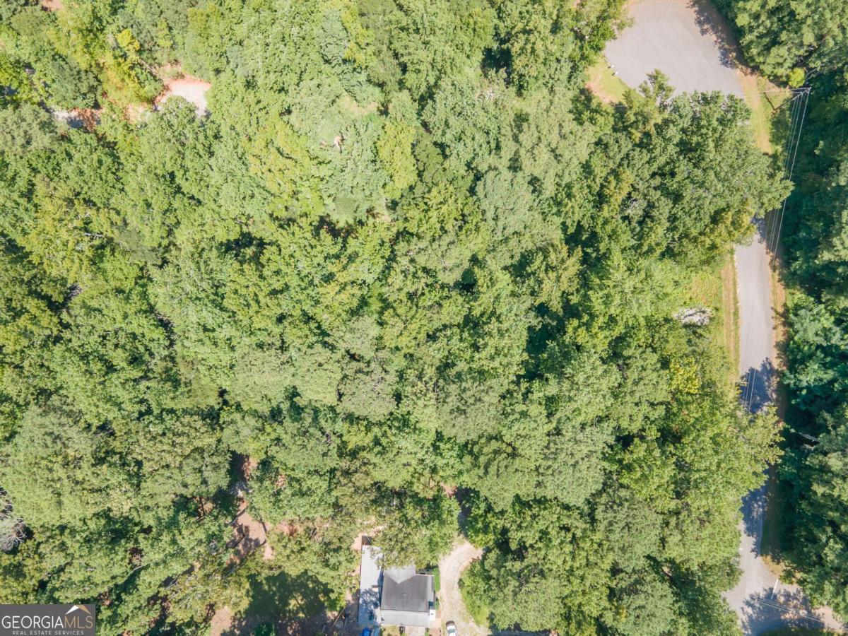 15 Williams Rd Court LaGrange, GA 30240 - Photo 5 of 10 a view of a lush green field with a tree