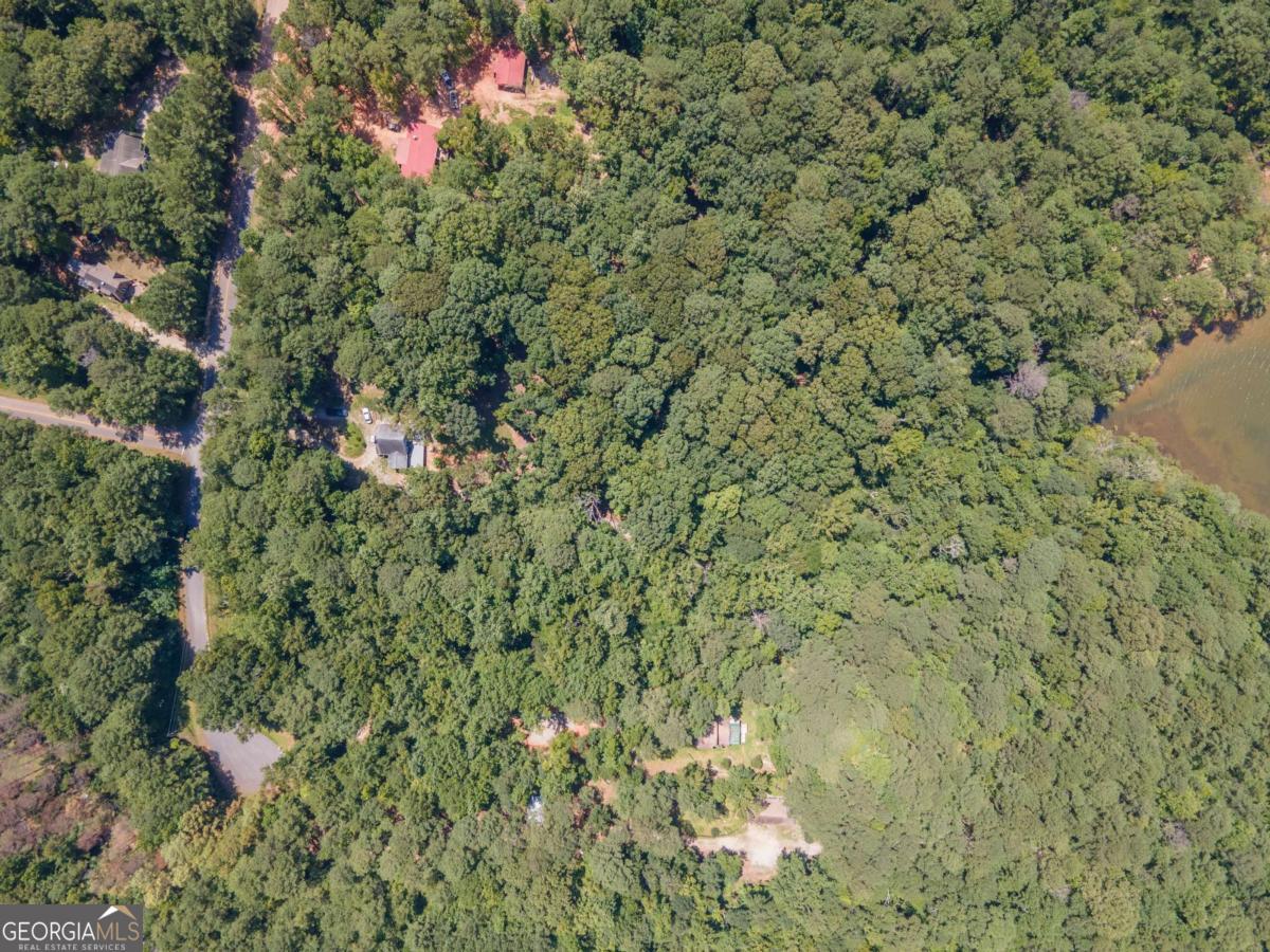 15 Williams Rd Court LaGrange, GA 30240 - Photo 6 of 10 a view of a forest with a tree