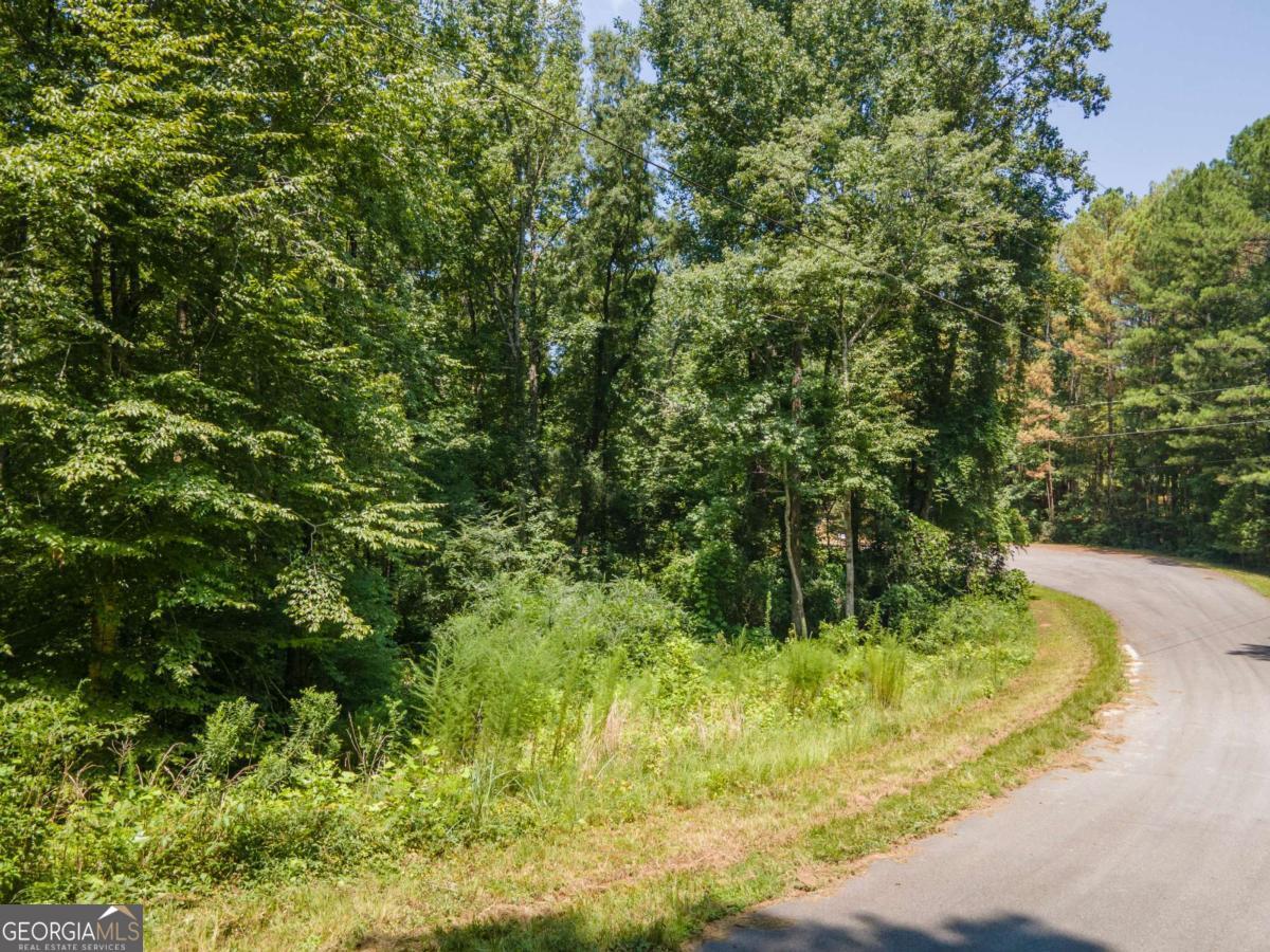 15 Williams Rd Court LaGrange, GA 30240 - Photo 7 of 10 a view of a garden