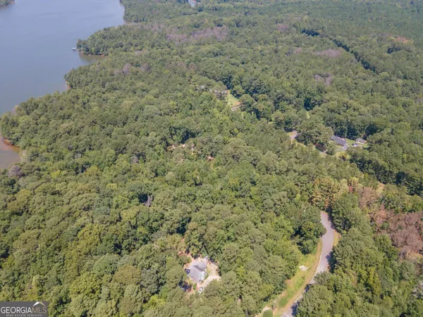 a view of a dry yard with green space