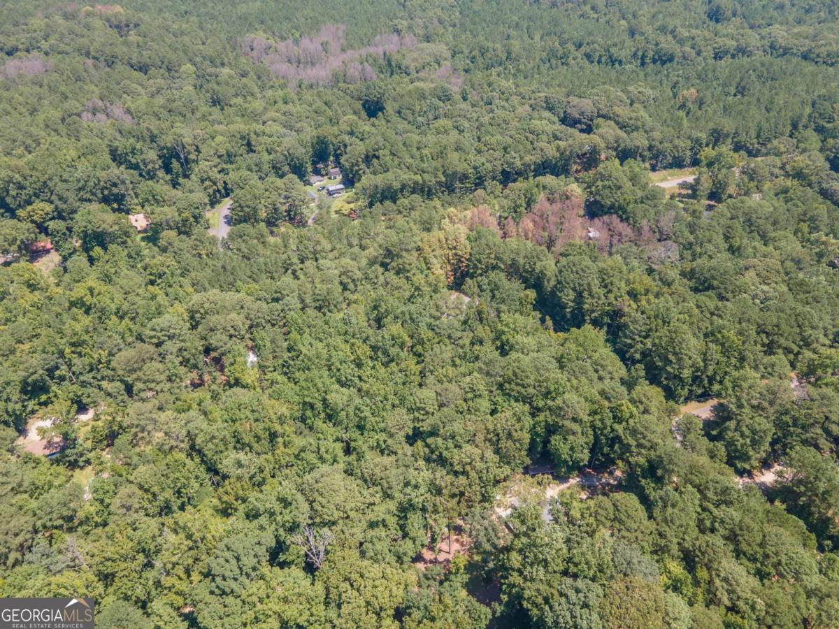 15 Williams Rd Court LaGrange, GA 30240 - Photo 10 of 10 an aerial view of residential house with space and trees all around
