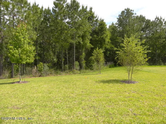 69 Trewin Circle St. Augustine, FL 32092 - Photo 34 of 36